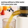 Commercial Large Caliber Household Juice Residue Separation Fruit Juice Extraction Machine Fruit Vegetable Slow Speed Juicer