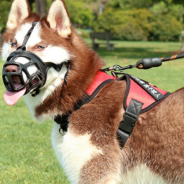 Intellipet vicious dog náhubek, [na] silikonový náhubek-černý-č.2