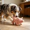 Jucărie de pluș porc câine Jucărie animală de pluș scârțâitoare Jucărie de ros pentru câine Porc roz Jucărie de îmbrățișat pentru cățel Ameliorarea anxietății la ieșirea dinților