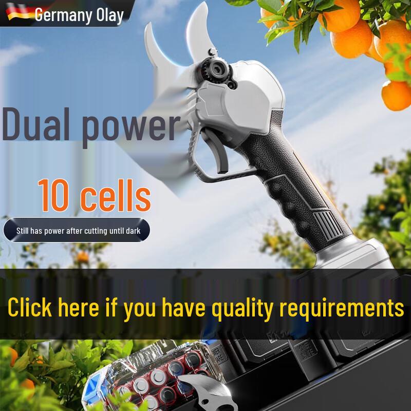 OulaiDe Brushless Cordless Electric Garden Pruning Shears CN plug (adapter included)