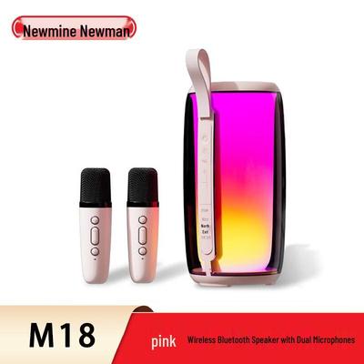 Bezdrátový Bluetooth Karaoke Reproduktor Newmine M18 se dvěma mikrofony CN zástrčka (adaptér součástí dodávky)