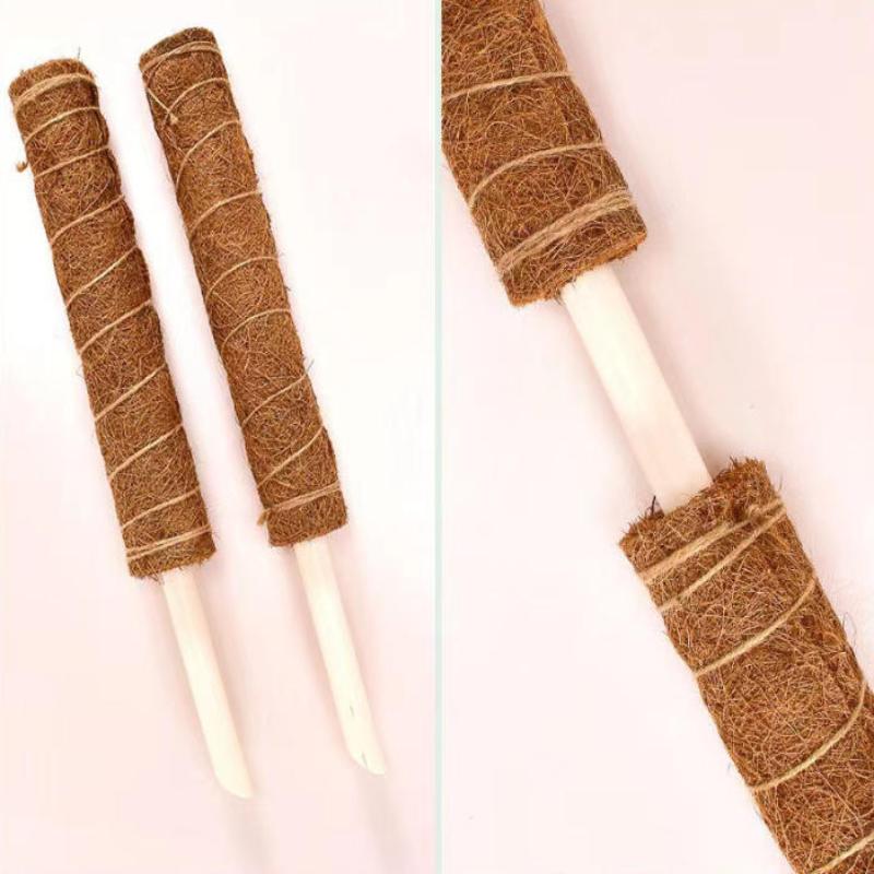 1Pcs Plant Climbing Traction Rod Fixed Bracket for Vines Creative Support Holder for Indoor Balcony Wall Greening