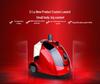 Portable Handheld Garment Steamer and Iron, Vertical Ironing Machine for Home Use
