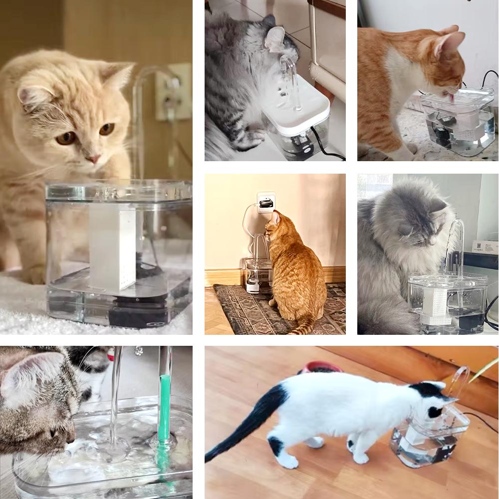 Cat Water Fountain Drinker 1.5L Auto Filter Transparent Water Dispenser Electric Mute Recirculate Filtering Drinker for Cats Pet