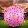 1 Pallone da Calcio Rosa a Forma di Cuori Taglia 5 - Pallone da Calcio da Collezione di Alta Gamma, Alta Qualità, Adatto per Allenamento e Competizione Indoor e Outdoor. Q61623