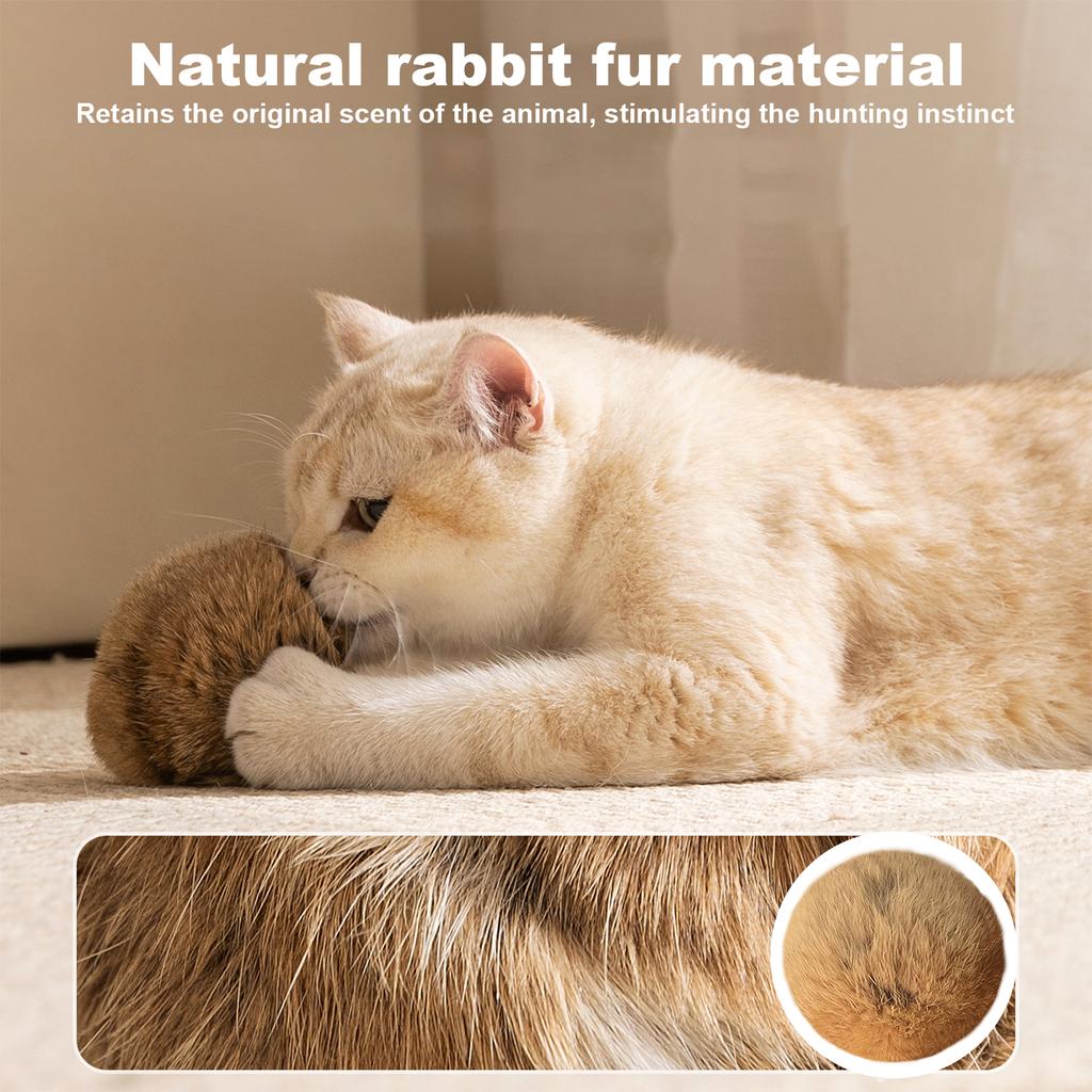 4/8/12pcs 3 Inch Furry Catnip Toy Ball Washable Soft Fluffy Interactive Cat Toy for Winter Cute Kitten Pet Interactive Gifts