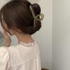Korean Textured Jelly Color Versatile Shark Hair Clip for Styling