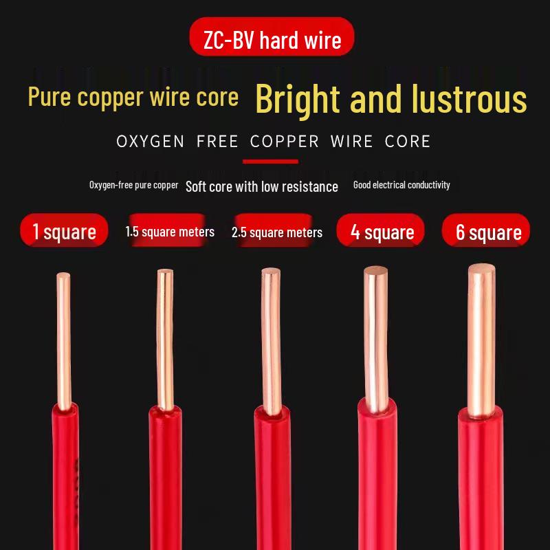 Pearl River ZC-BV Single-Strand Copper Core Wire (1.5-35mm²)