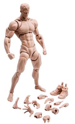 Scale Male Action Super Flexible and Strong Muscle Miniature Figure Body Doll with Interchangeable Hands and Accessory Collection 1/12 Figure, 6-inch