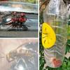 20-5Pcs Reusable Wasp Trap Insect Funnel Killer Flower Bee Hornet Catcher Plastic Bottle Wasp Traps Garden Pest Control Tool