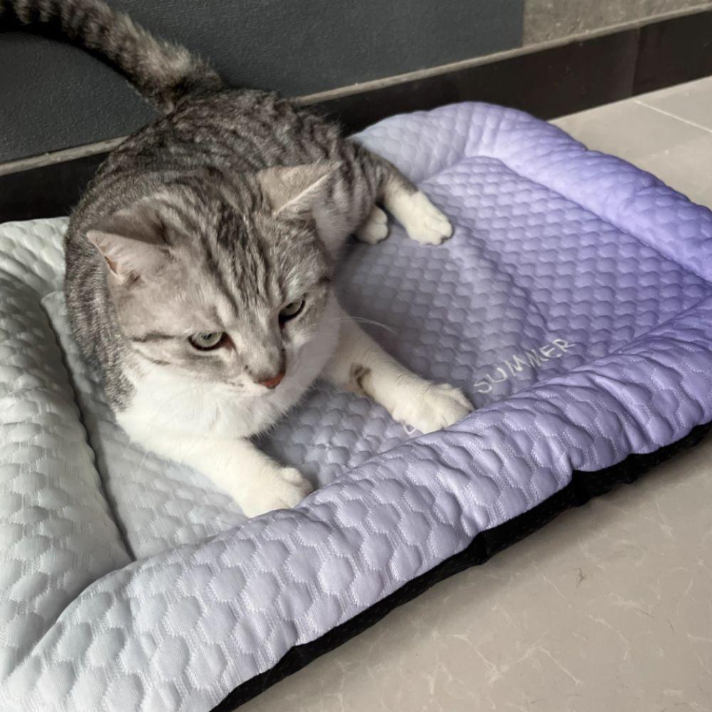Non-slip Dog Kennel Dopamine Dog Bed Dog Sleep Nest Pet Double-Sided Sleeping Mat  Pet Shop