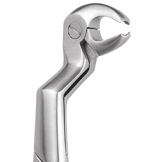 GDC Extraction Forceps Special Wisdom Routrier