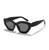 Ryan leopard print irregular cat eye sunglasses women's European and American advanced sense personalized outdoor street sunshade sunglasses