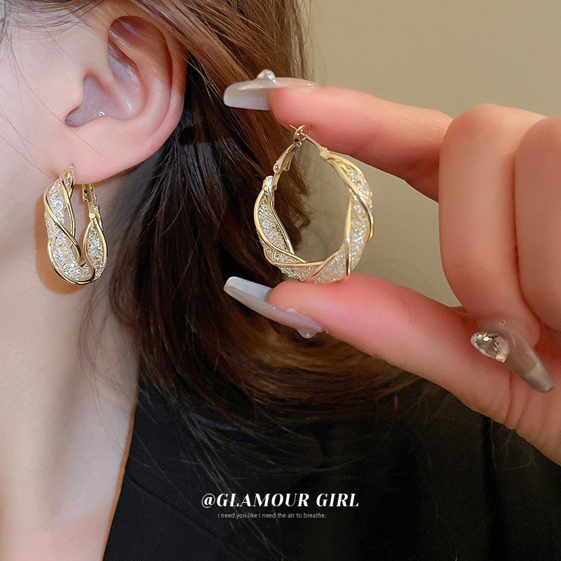 

Круглые серьги с бриллиантовой сеткой, французские высокие модные роскошные серьги-кольца для женщин