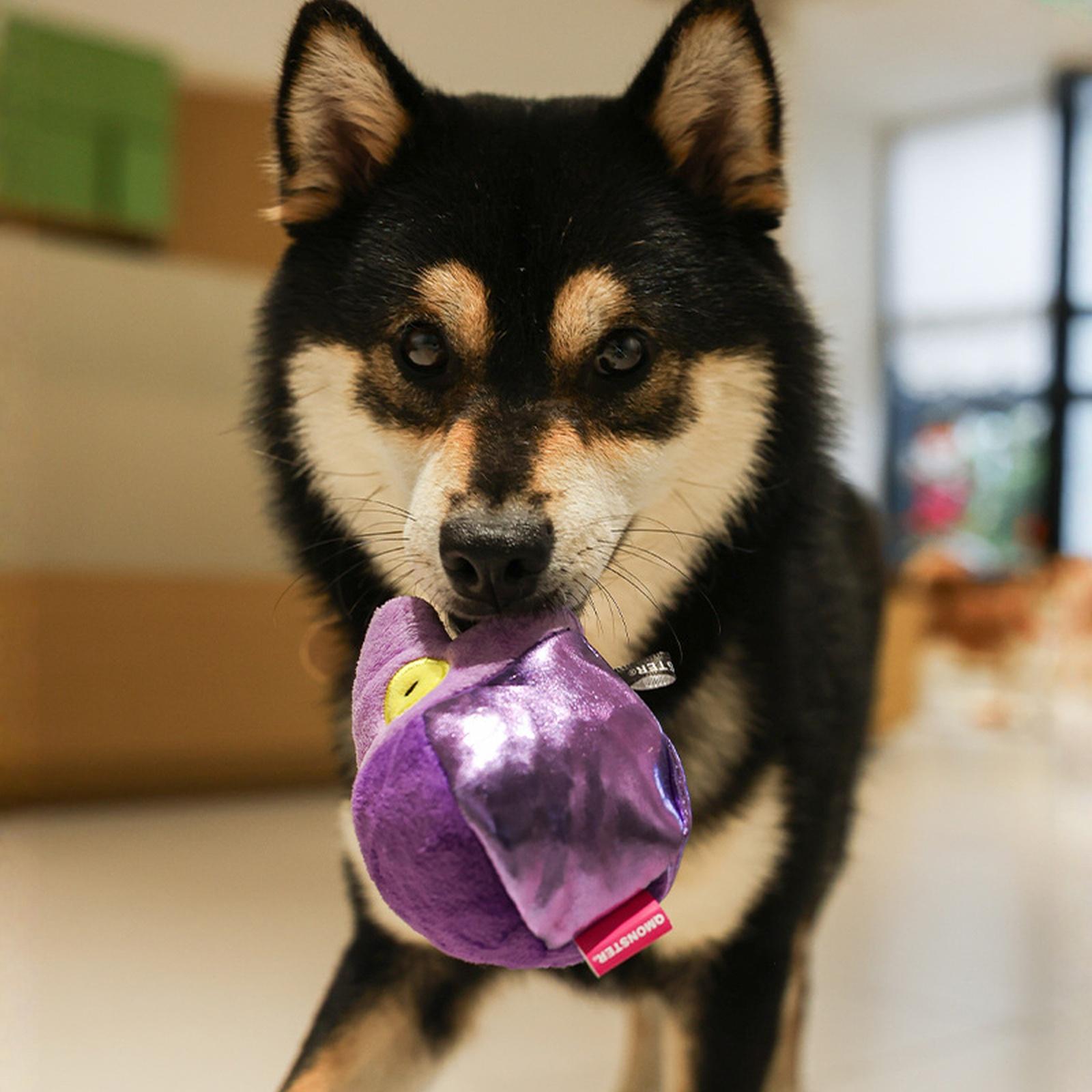 

Пищащая игрушка для домашних животных Интерактивная жевательная игрушка-мячик с шипами для стачивания зубов собак фиолетовый