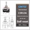 CNTD C5 Toggle Switch Self-locking 15A 250VAC Single Pole Double Pole Switch With Rainproof-cap Switches4