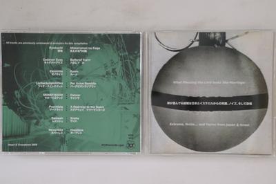 CD VARIOUS - What Pleasing The Lord Looks Like-m HCB020 HEART & CROSSBO 2008 Israel Rock Used