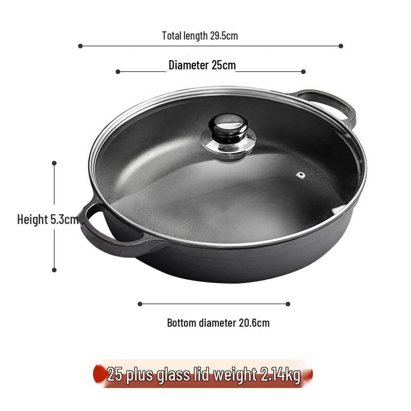 ZISIZ 25cm Cast Iron Frying Pan with Glass Lid