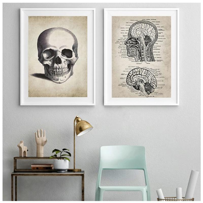 Human Anatomy Wall Art Hospital Vintage Posters and Prints Doctor Office Decoration Skeleton Anatomical Skull Canvas Painting