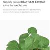 Cellimax Heartleaf BHA Eraser Peeling Pad 60 Sheets