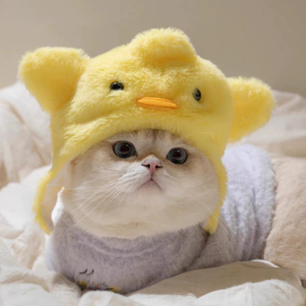 Refined Style Knitting Wool Cat Hat Cute Design Elastic Knitted Hat Photo Props Pet Hat Party Photo Shoot