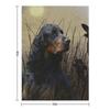 Gordon Setter , Hunting companion Throw Blanket christmas decoration christmas gifts For Decorative Sofa Giant Sofa Blankets