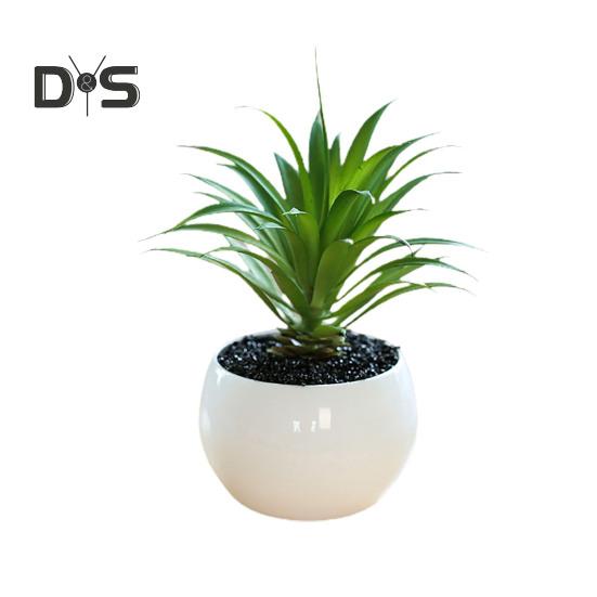 Plante succulente artificielle en plastique, Anti-décoloration, belle petite plante en pot, ornement de Table