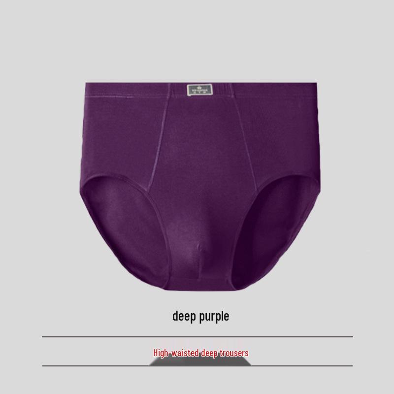 Pánské trojúhelníkové slipy z modalu s vysokým pasem - Prodyšné, volný střih pro střední věk a starší