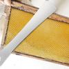 Multifunctional Stainless Steel Honey Cutter Knife Scraper Beekeeping Tool