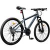 Phillips Adult Mountain Bike