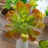 Lifelike Artificial Succulent Plant Real Touch Simulation Bonsai Plant  Balcony Decoration