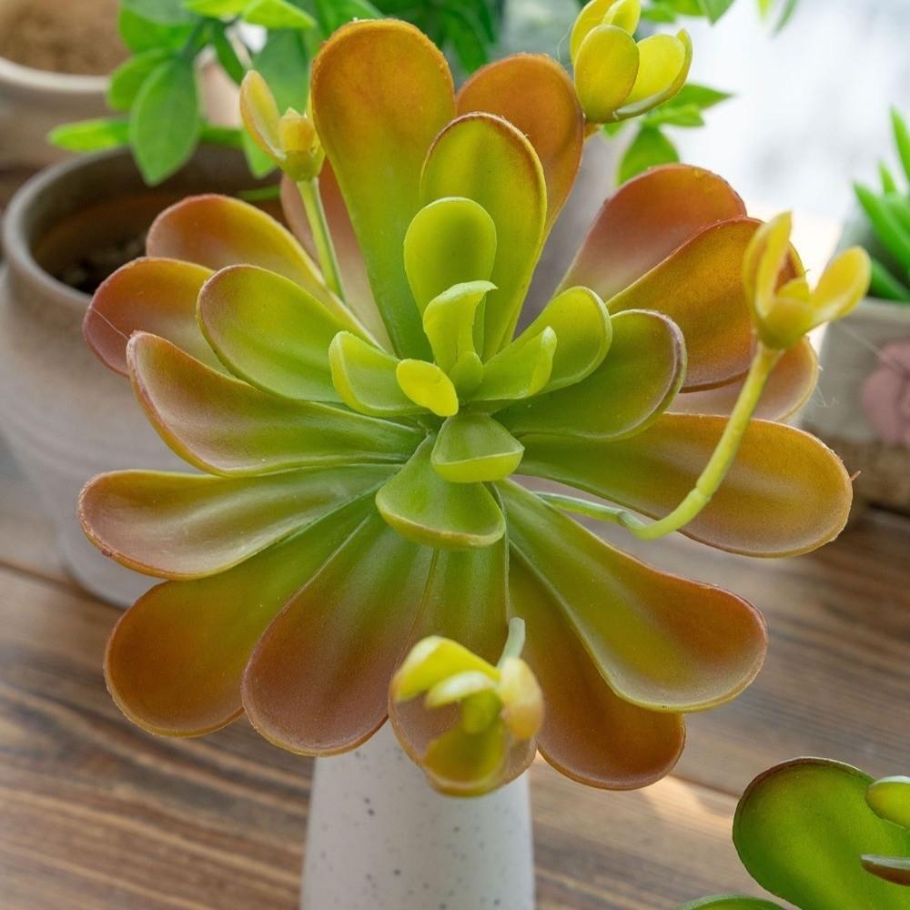 Lifelike Artificial Succulent Plant Real Touch Simulation Bonsai Plant  Balcony Decoration