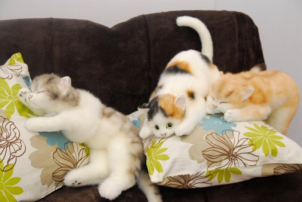 Doshin Real Series, Made In Japan, Realistic Cat Plush Toy, 58cm (Black Cat L, Sleeping) (2503)