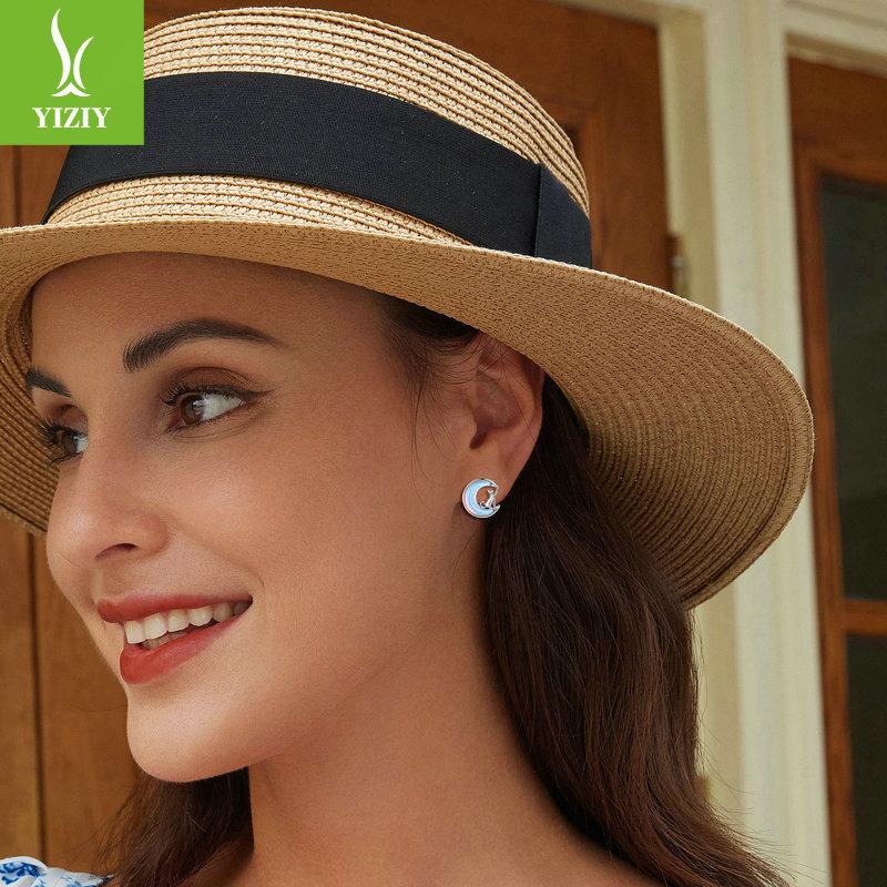 Niche Light Luxury Moon Cat Stud Earrings Female, Temperament S925 Sterling Silver Earrings