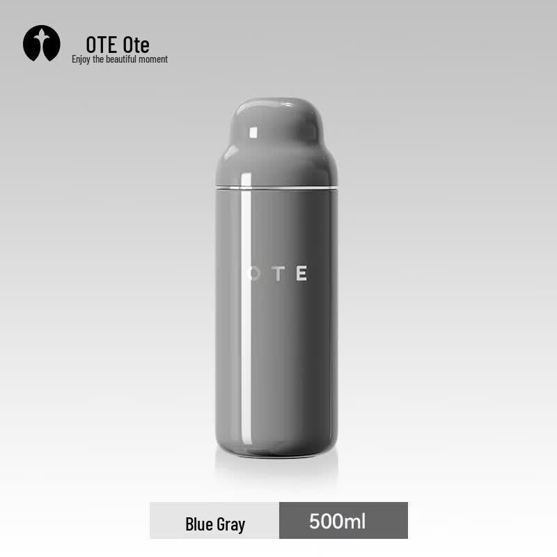 

OTE Travel Tea Infuser Thermos Mug