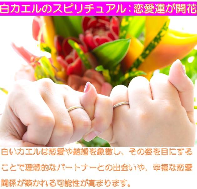 [Brings Happiness Mysterious White Frog Incense Holder] 3-Piece Incense Holder Set [Brings Good Fortune for Money, Love, Career, and Health] Lotus