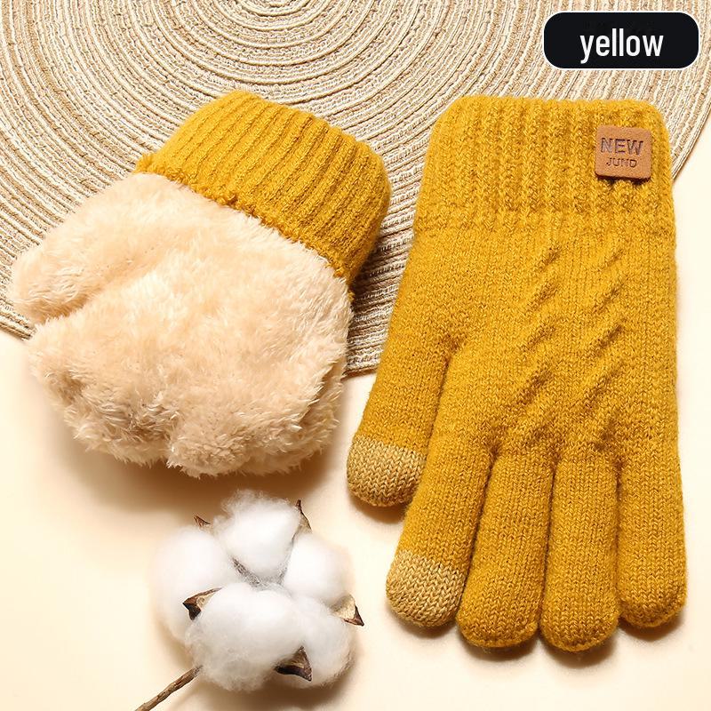 Women's Winter Knitted Gloves, Double-Layer Velvet, Thickened, Cold-Proof, Warm, Touchscreen, Perfect for Outdoor Cycling.