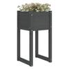 Planters 2 Pcs Gray 40 X 40 X 81 Cm Solid Pine Wood
