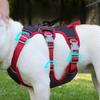 Dog Chest Straps Small and Medium-sized Dog Chest Straps To Prevent Breaking and Pulling Leash Reflective Anti-escape Leash