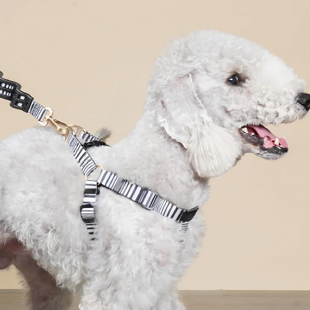 Dog Harness for Small Easy To Put On and Take Safe for Size S Circumference Dogs, Adjustable, Off, Lightweight, Comfortable, Durable, Anti-Pulling,