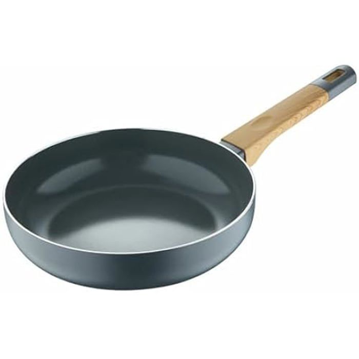 Poêle À Frire - SAN IGNACIO - 20 Cm - Aluminium Pressé - Revêtement Antiadhésif - Gris Terre