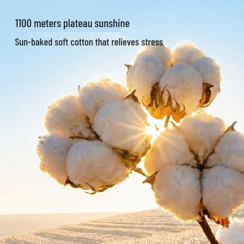 YEEHOO Boys' Plain Blue Cotton Short Sleeve T-Shirt