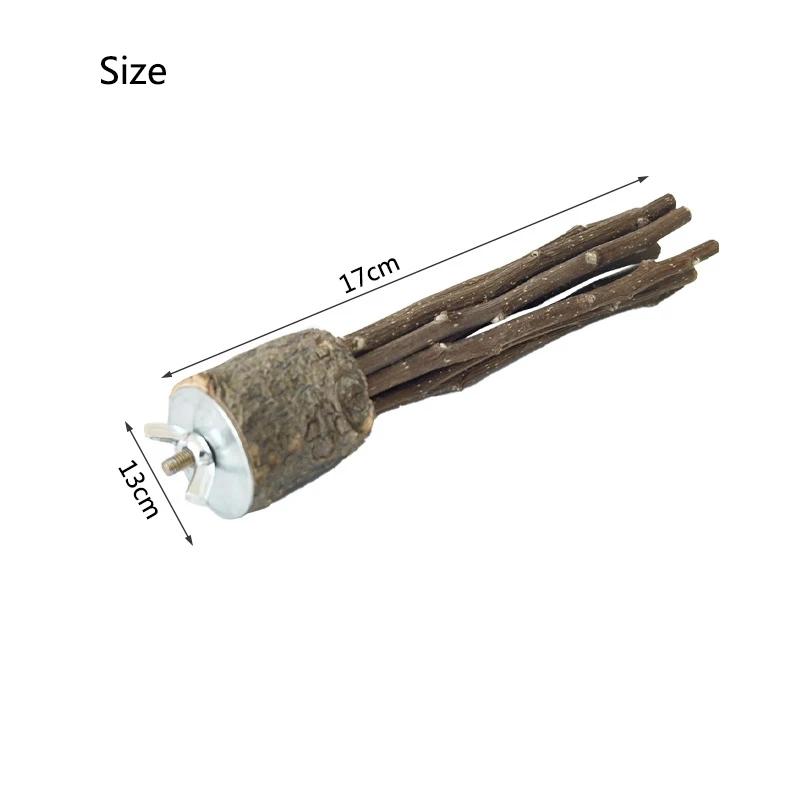 

Natural Apple Tree Wood Pet Parrot Raw Wood Fork Tree Branch Stand Rack Squirrel Bird Hamster Branch Perches Chew Bite Toys
