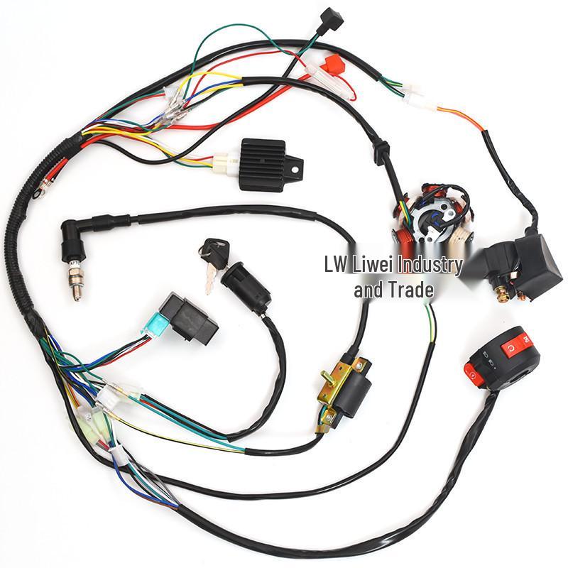 Off-Road Motorcycle Wiring Harness & Magnetic Coil Switch for 50-125CC ATV/Quad