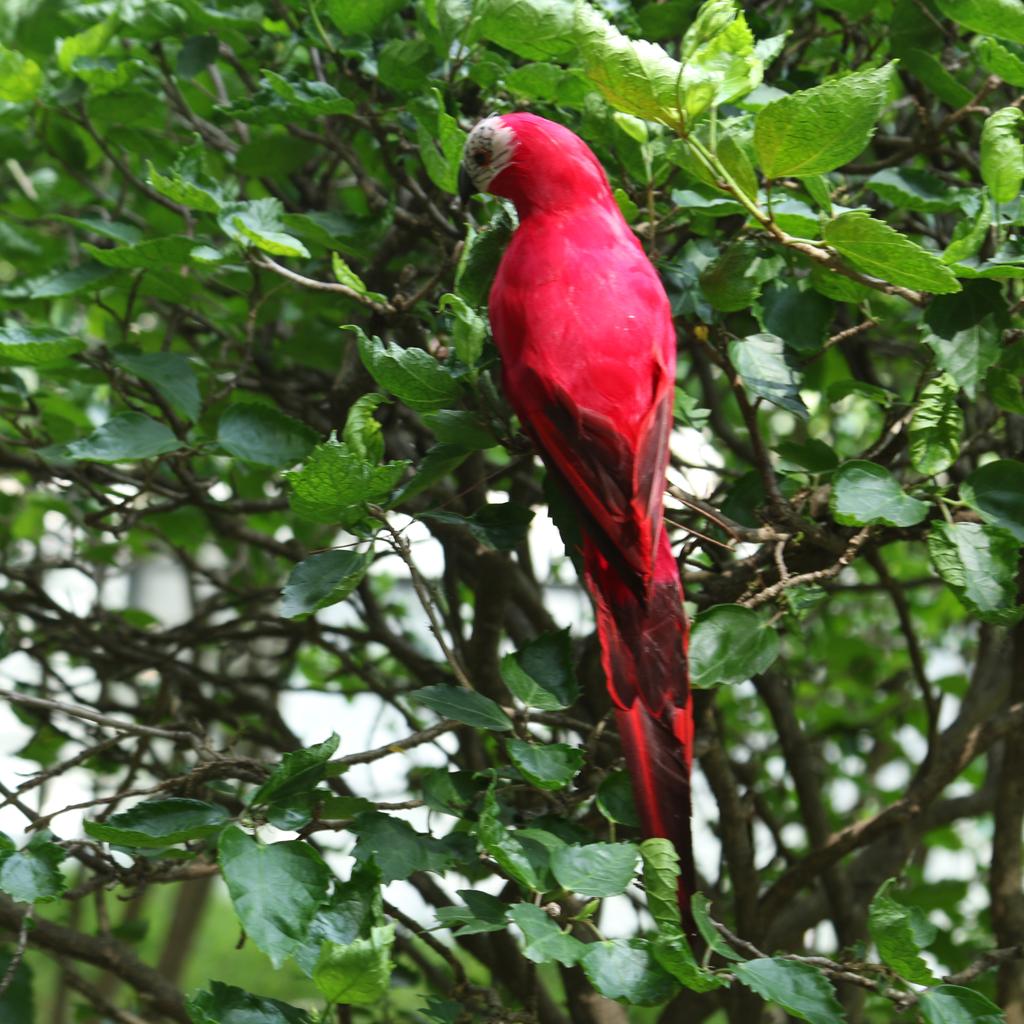 Ręcznie robiona ozdoba papuga Realistyczna figurka ptaka Dekoracja ogrodowa Rzeźba Żywe zwierzę Rekwizyt do fotografii i do użytku w klasie