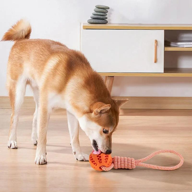 Dog Ball Toy with Rope Interactive Interactive Leaking Balls for Small Medium Dogs Chewing Bite Resistant Pet Tooth Cleaning