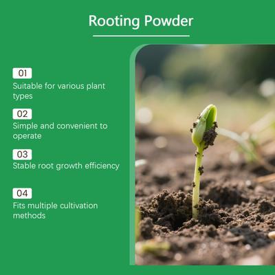 Concentrated Nutrient Liquid for Home Gardening Succulents Green Plant Soluble Fertilizers Rooting Promotion Regeneratio
