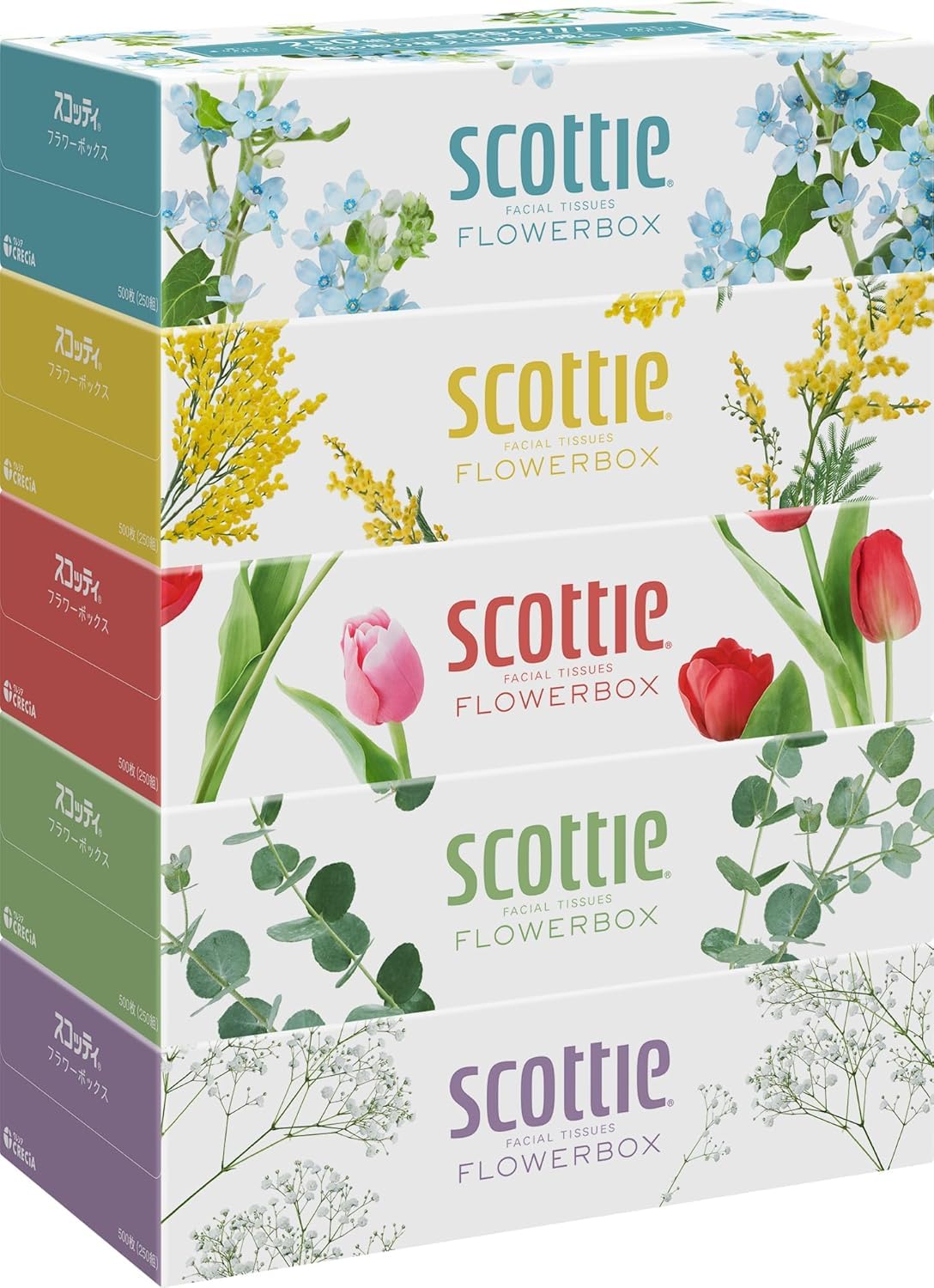 Scottie Flower Box 500 sheets 5 boxes Tissues, Long-lasting, (250 pairs),