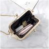 Mouth Gold Small Bag Female Wild Messenger Bag Chain Shoulder Fashion Clip Mouth Straw Bag