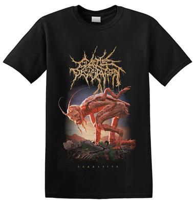Üst giysisi – T-shirtler